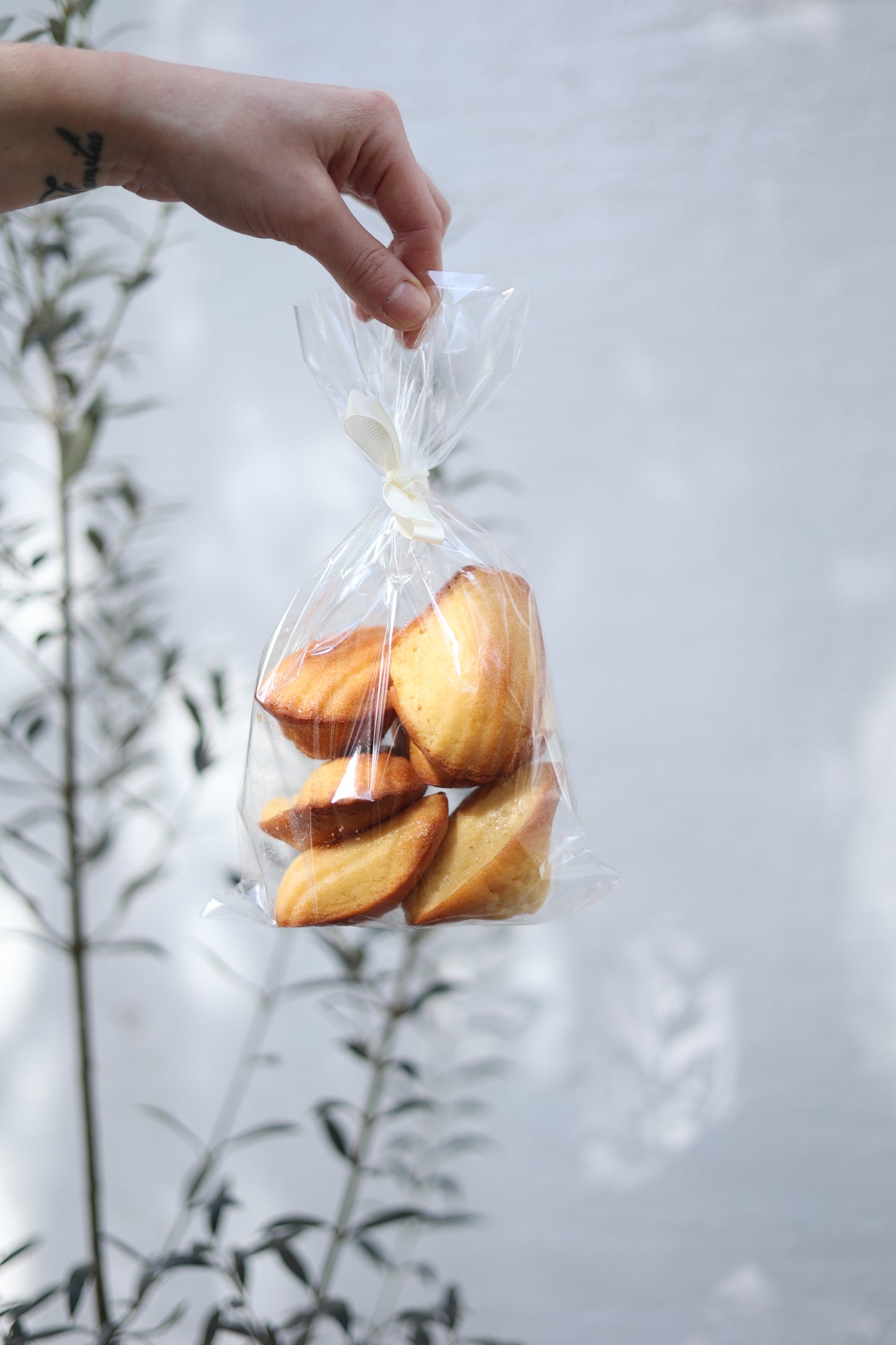 Madeleines