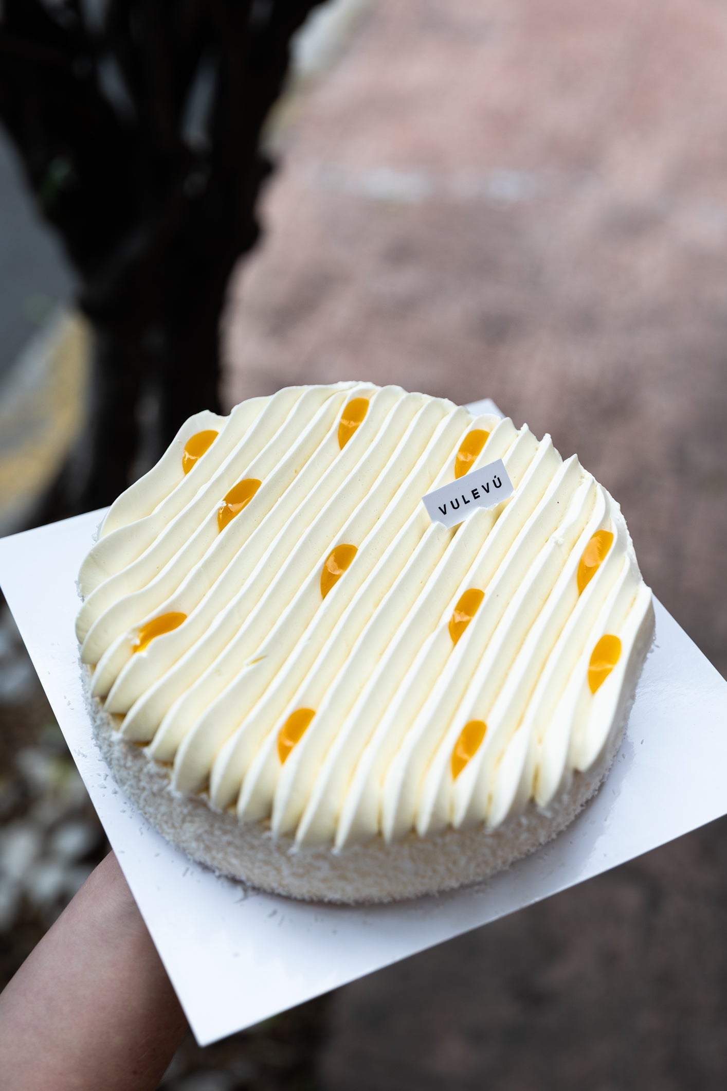 Cheesecake tropical